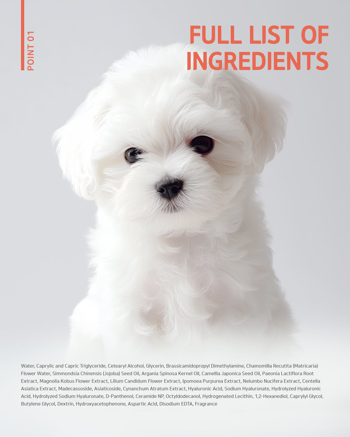 Inoom Our Earth Pet Conditioner